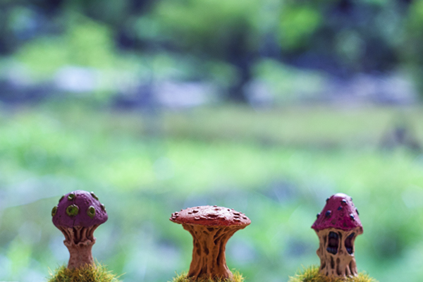 Mushroom Men