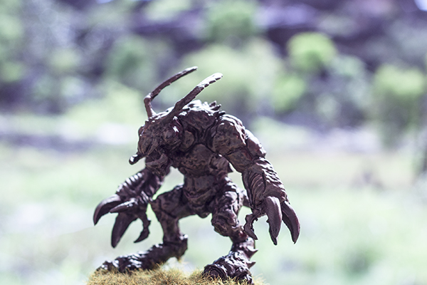 homme insecte