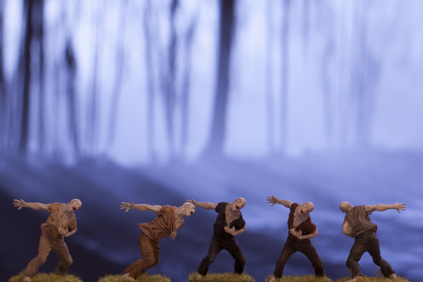 the order of vampire hunters