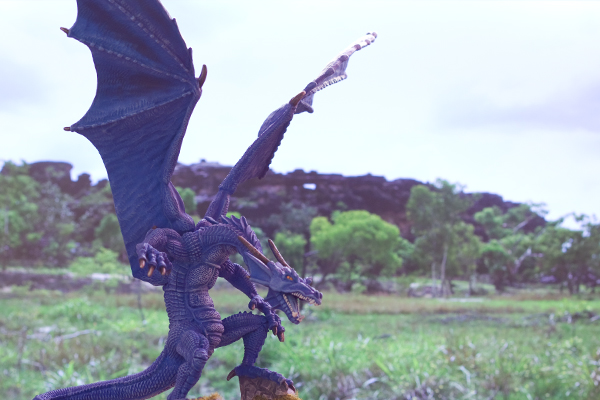 dragon