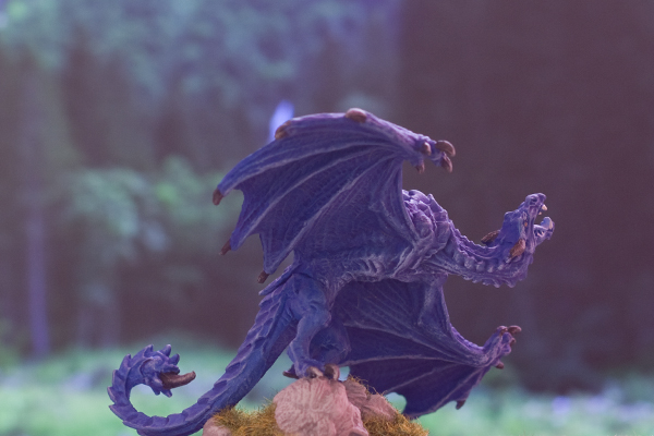 dragon