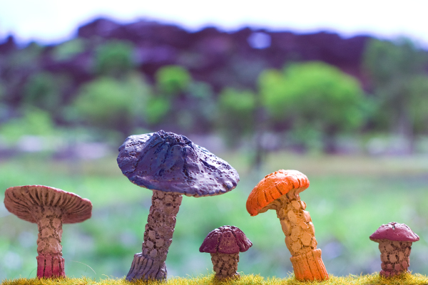 Mushroom