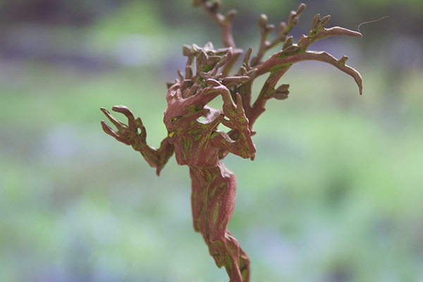 dryads,sylvaneth warhammer