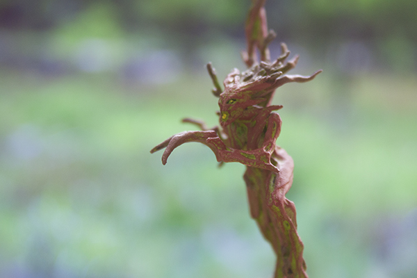 dryads,sylvaneth warhammer