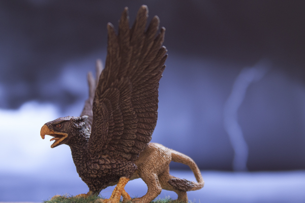 griffon miniature