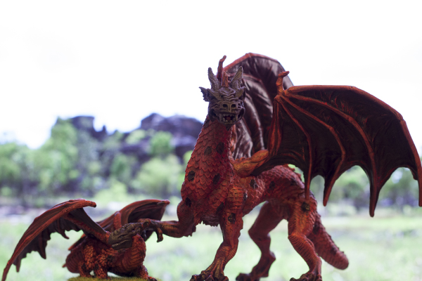 dragon