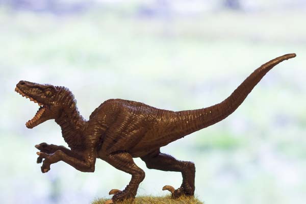 velociraptor