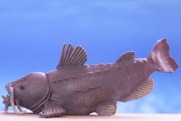 figurine poisson chat