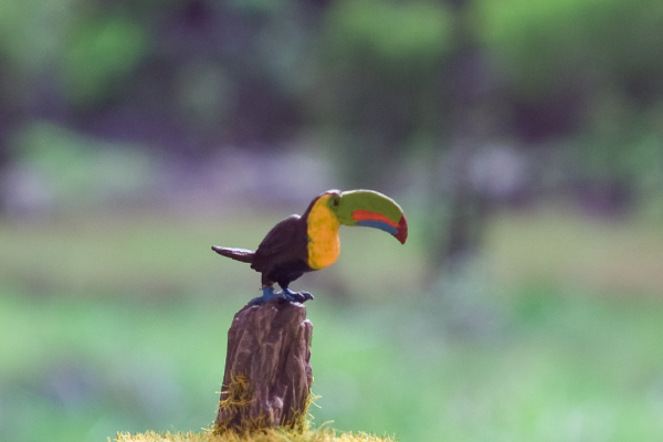 figurine toucan 