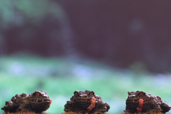 figurine grenouille géante