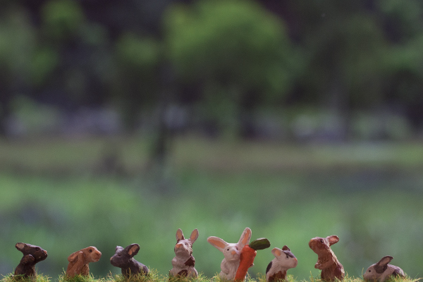 7Bunnies, bad squiddo