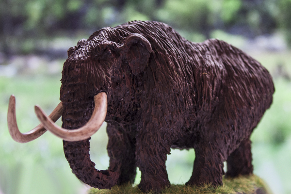 mastodon acheson creation